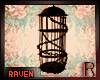𝓡𓄿 Punishment Cage