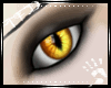 [TFD]Five's Eyes - Uni