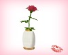 Red Rose in vase