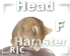 R|C Hamster Cozy Head F