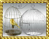 D3~Bird Cages Enh
