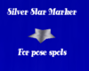 D3~Silver Star Marker