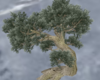 Fantasy Tree