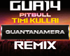 Guantanamera-Pitbull RMX