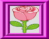 Pink Rose 2