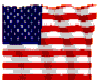 [LJ]Anim.U.S.Flag4