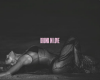Drunk In Love VB
