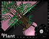 Flirty Plant