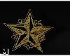 Star Earrings