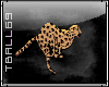 cheetah running sticker