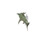 Great Shark Zombie