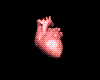 Tiny Human Heart