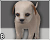 Puppy Hold Animated