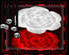 :SD: White Rose [Drv]