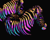 rainbow zebras animated
