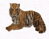 Tiger Pet Sound drv