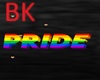 BK> Anim Pride Sign