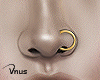 Nose Piercing (Gold)