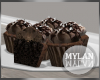 ~M~ | Chocolate Cupcakes