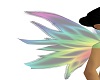 spectrum wings