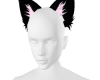 A|| -Cat Ears -Pink Glow