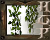 HCP Wall Hanging Plants 