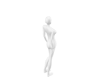 CRL Avatar Scaler100%