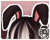☕| Pawfee Ears req.