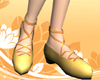 Silk Ballet Shoes II