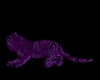 Purple tiger (Omen)