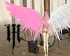 white n' pink wings