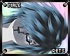 [Pets] Bini | hair v2