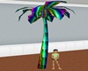 rainbow palm