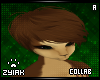 Z; Leader Hair A V1