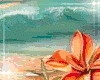 Sunset Beach 5 bundle