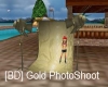 [BD] Gold PhotoShoot