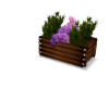 DEV Flower Box