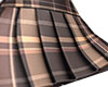 Fall Skirt Brown