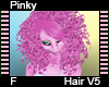 Pinky Hair F V5