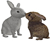 TreeHouse Bunny Rabbits