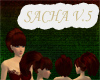 [FCS] Sacha V.5