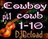 cowboy pt1