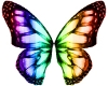 ~butterfly wings~ multi