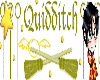 Quidditch Sticker