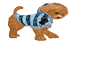 Fern