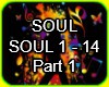 SOUL Part (1)