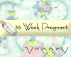 35 Weeks Pregnant (y)
