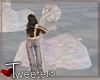 Snowball Fun