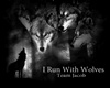 Twilight Wolf Avatar