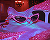 🅲 Cat Cut 1.0